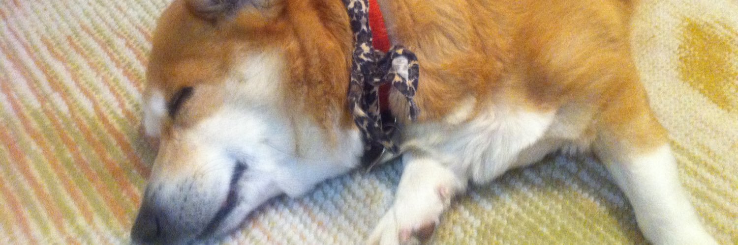 レイワクチン banner