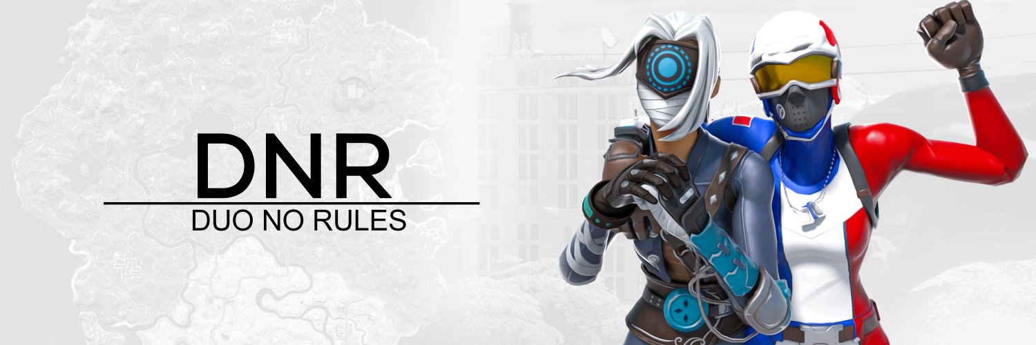 DNR Customs EU banner