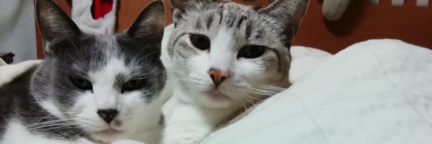 m_delux's profile banner image