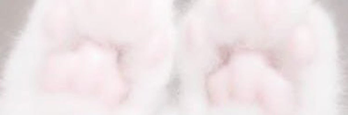 tarox49's profile banner image
