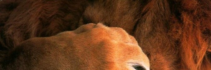 StuffNuLabour's profile banner image