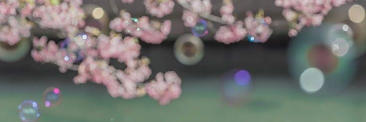 owncae's profile banner image