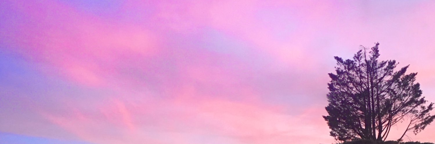 Johanna 🦚 banner