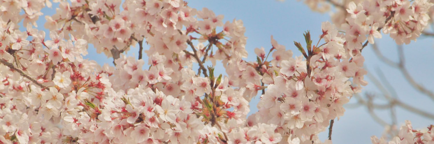 keito933's profile banner image