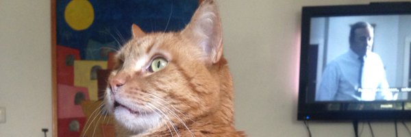 liserg14 Profile Banner