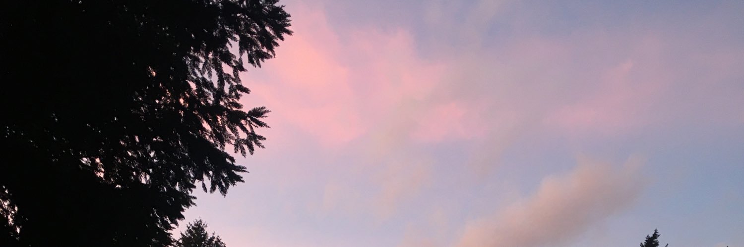princesscora22's profile banner image