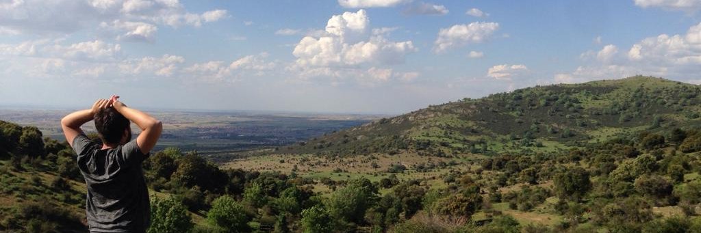 Matteo Beccardi banner