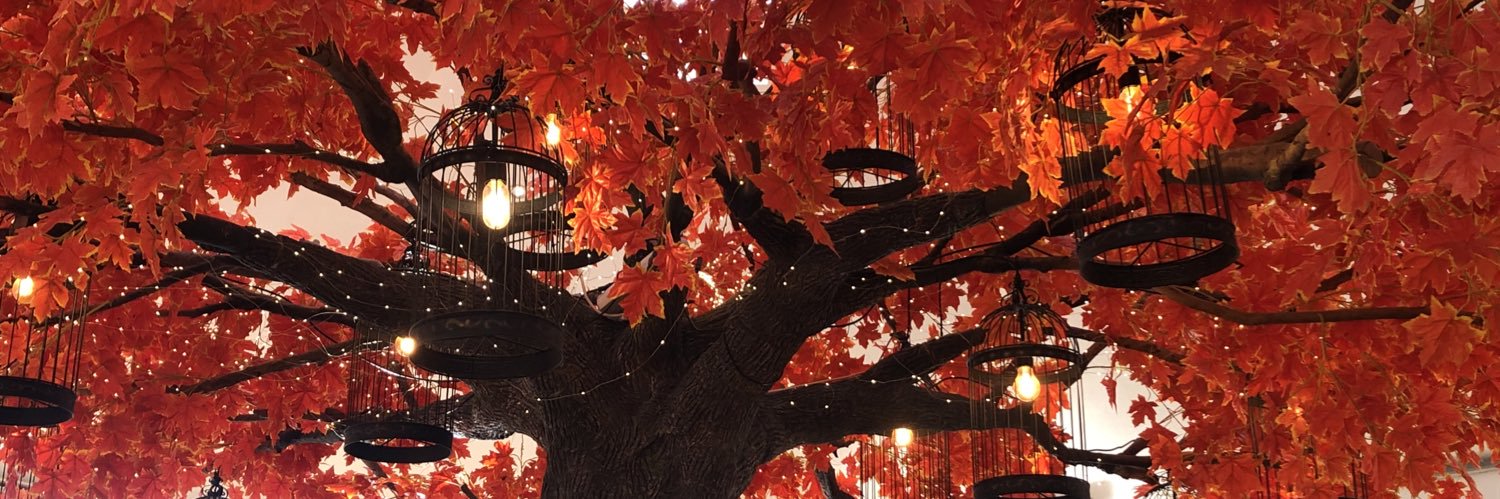 Ruby_Tifa's profile banner image