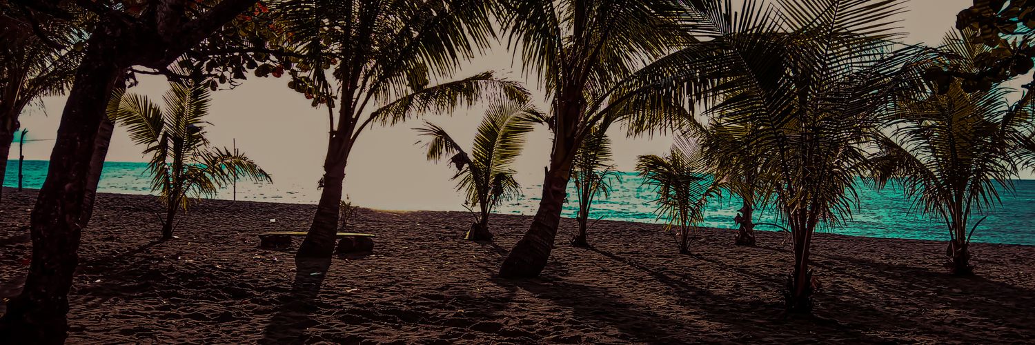 leafar_ran's profile banner image