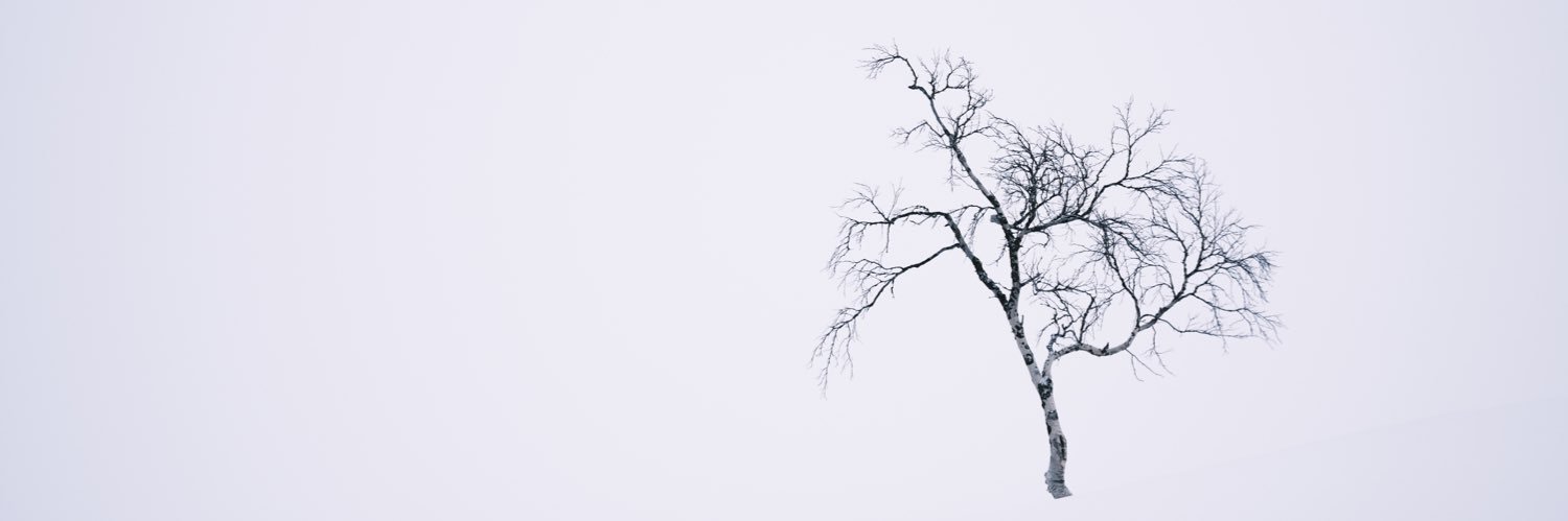 Arild Øvrum banner