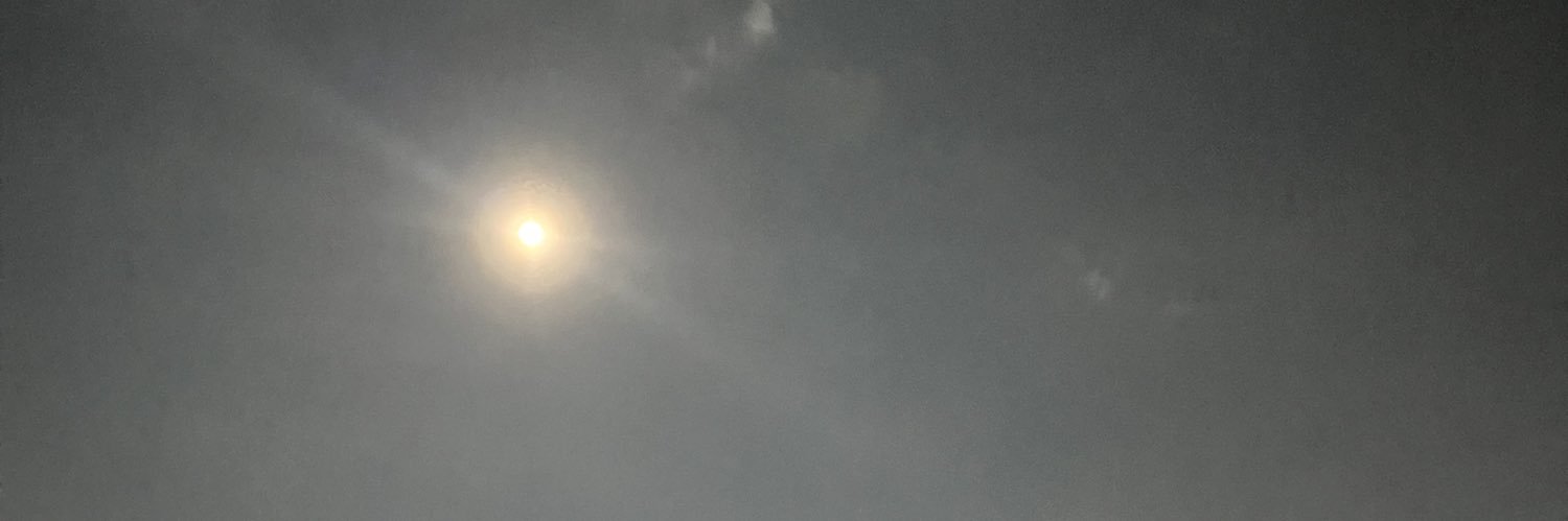 stillnessforall's profile banner image
