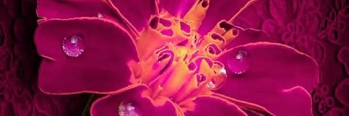 Kumar_BittuS's profile banner image
