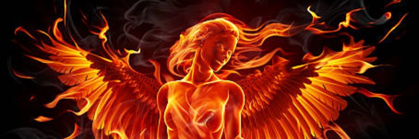 willow_boo20's profile banner image