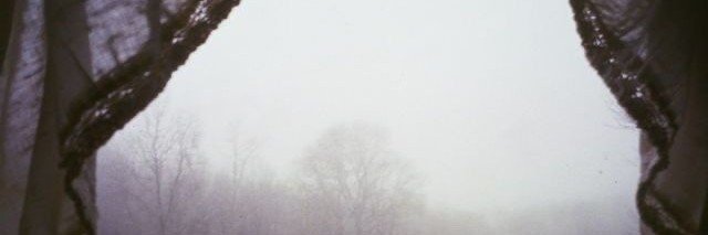 greenbugsfolder's profile banner image