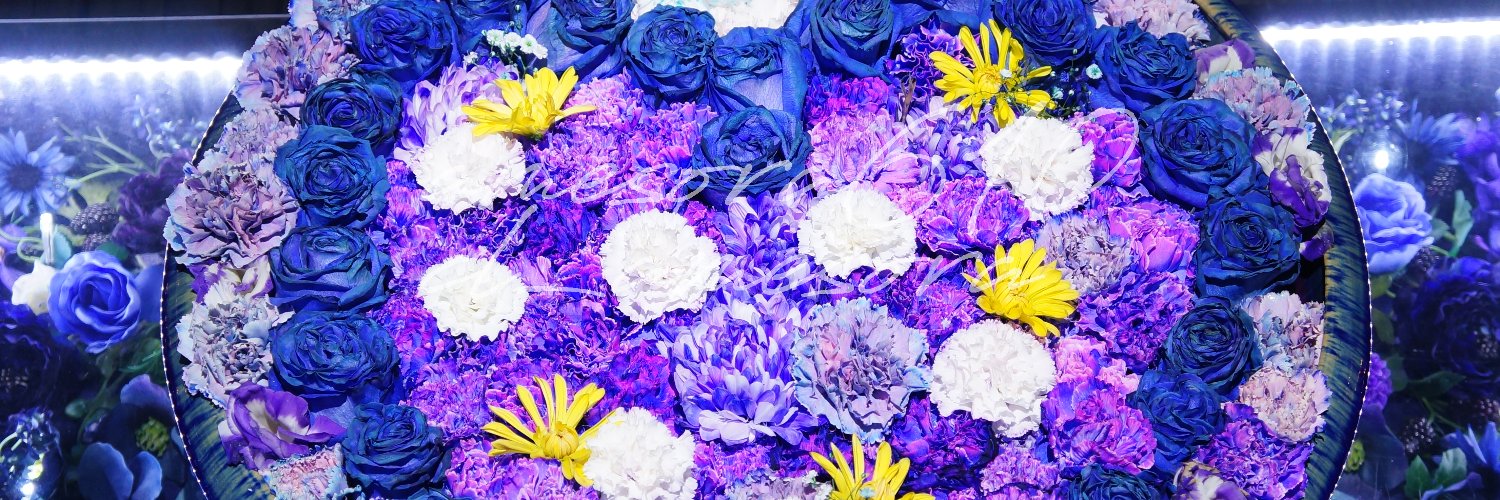 amesora619's profile banner image