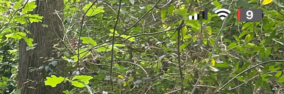 αʂαʝʝ, ₚₐᵣₜ₋ₜᵢₘₑ ₛᵢₜₕ's banner