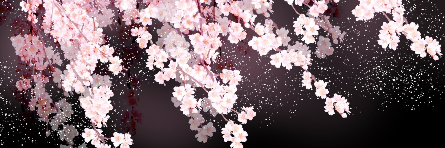 Liop02's profile banner image