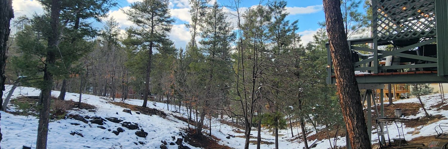 rcsilveyra's profile banner image