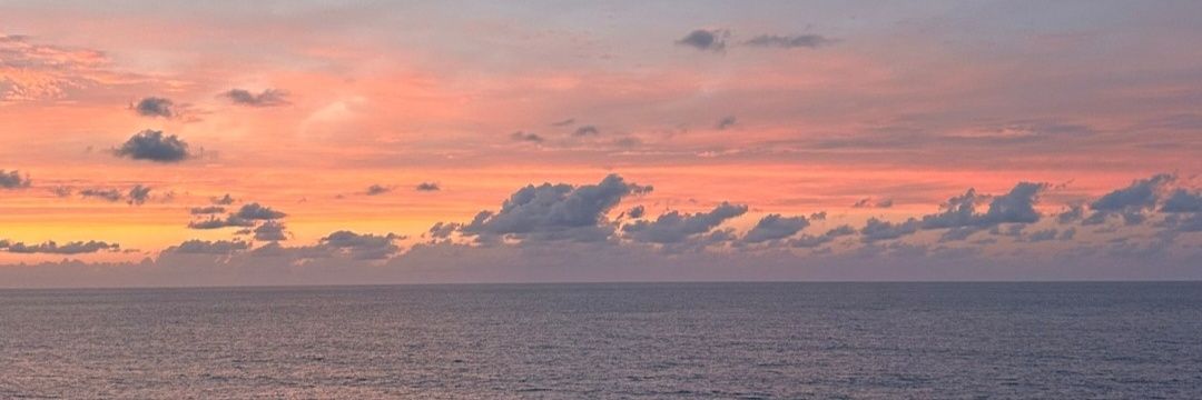 jhfjerri's profile banner image