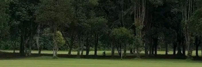 bsynght's profile banner image