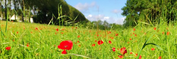 Mam28ouf Profile Banner