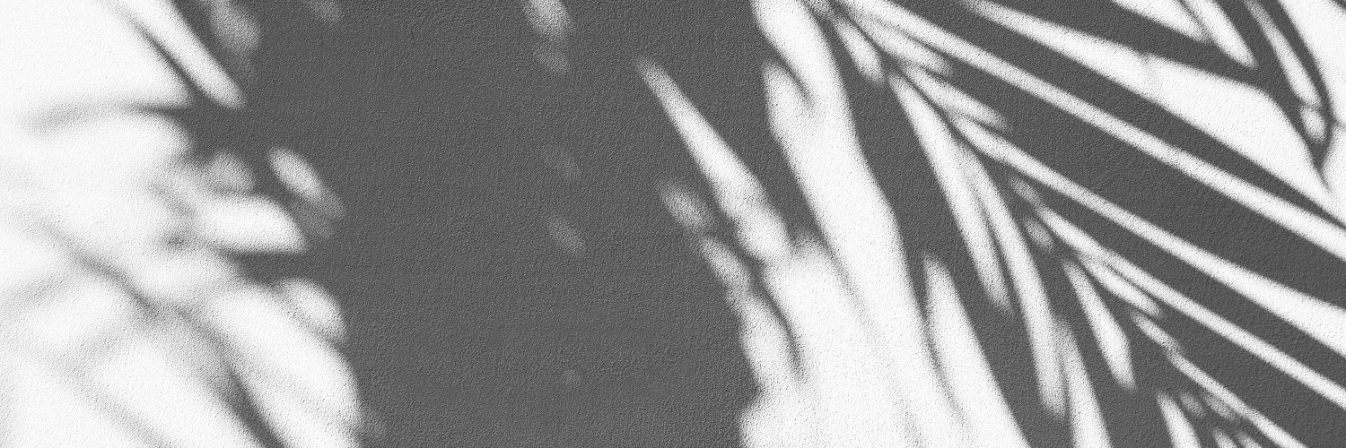 EthanAni's profile banner image