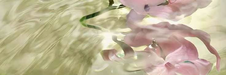 sweetdirtycandy's profile banner image