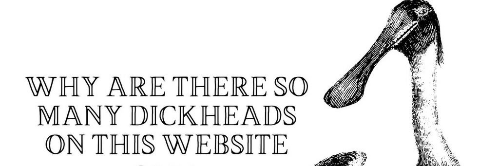 Sir lobstergirl666's banner