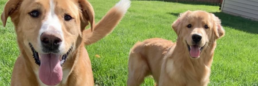 chadtucker_'s profile banner image