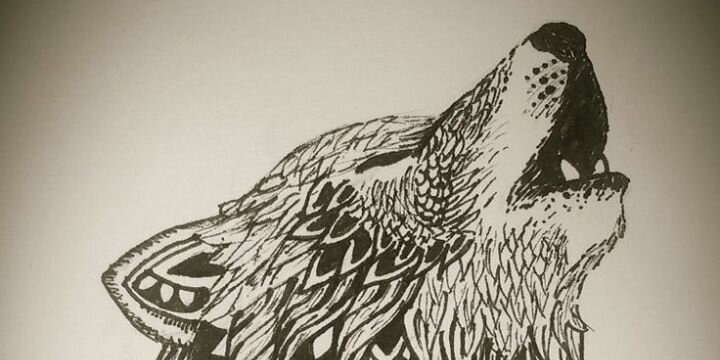 AndresTheBear's profile banner image