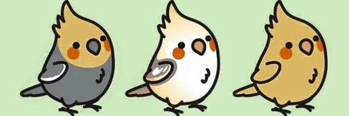 Tichigp's profile banner image