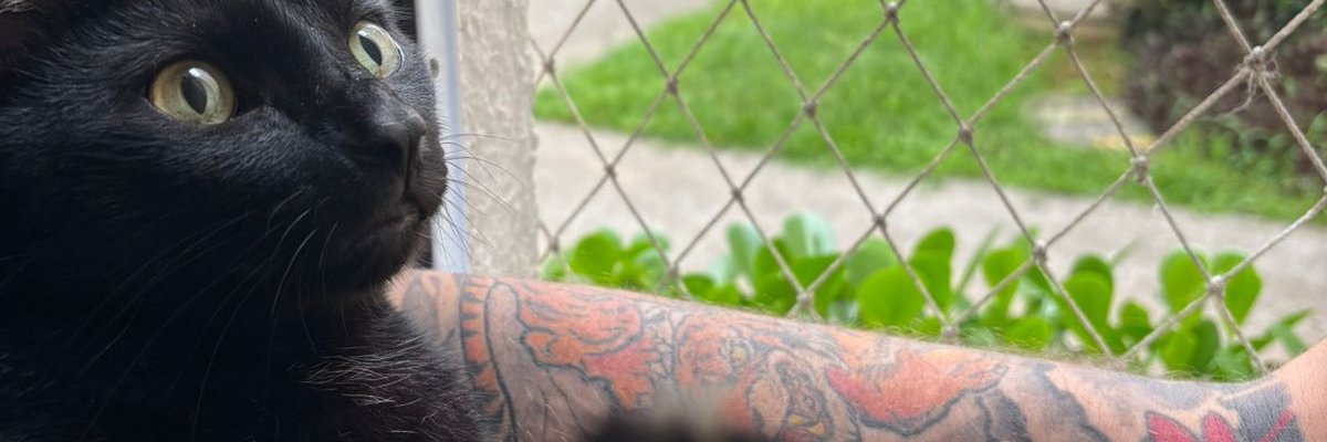 kduzeira's profile banner image