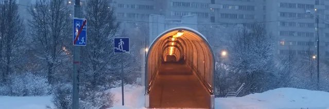 100% real psychic banner