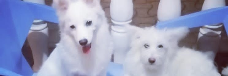 roxannly's profile banner image