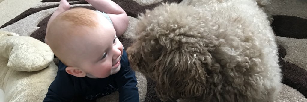 TwiztedMuffin's profile banner image