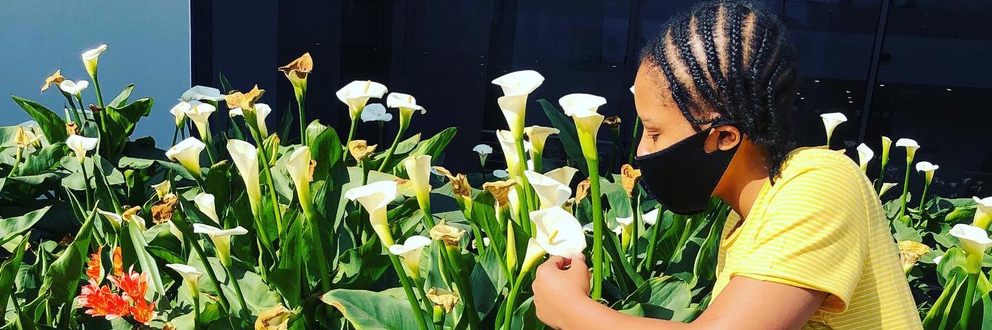 Xee_Milli's profile banner image