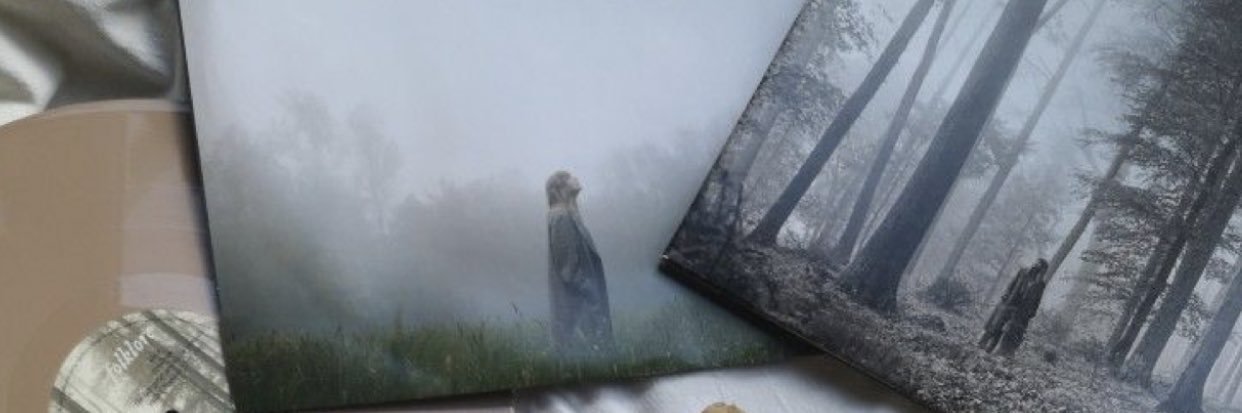 tswiftmcgraw's profile banner image
