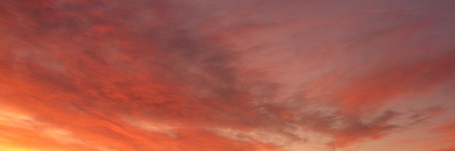 alepraca's profile banner image