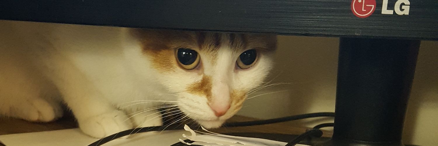OrdinaryKeys's profile banner image