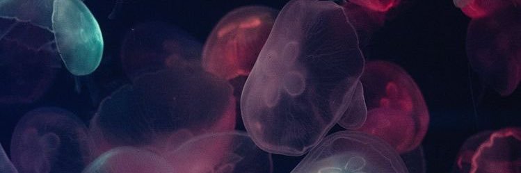 abcdejha's profile banner image