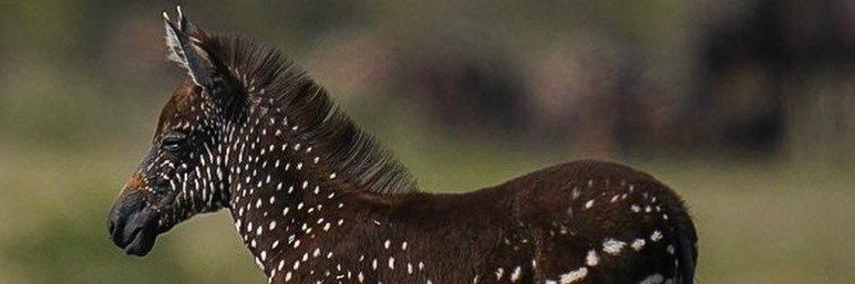 pkdimples's profile banner image