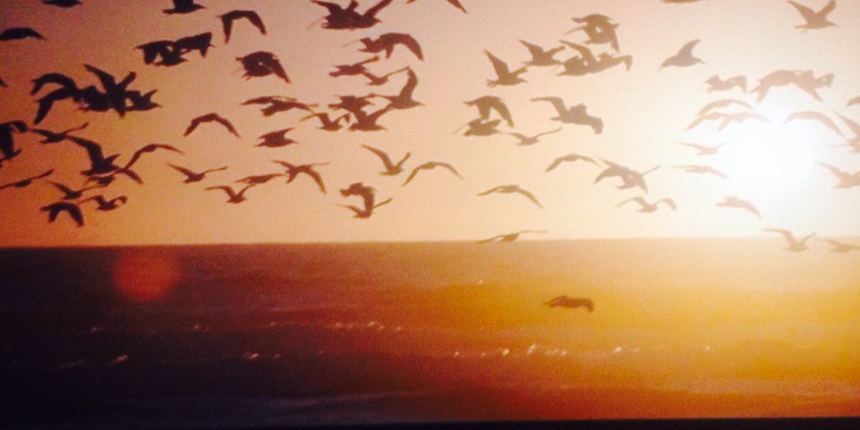 SeanKlenert's profile banner image