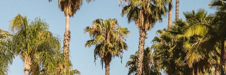 EmmaPollitt's profile banner image