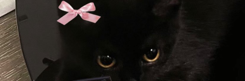 🐈‍⬛ banner