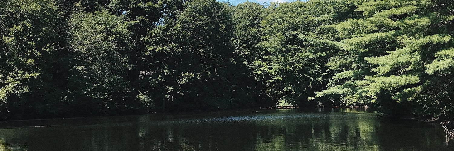 BerndtEmma's profile banner image