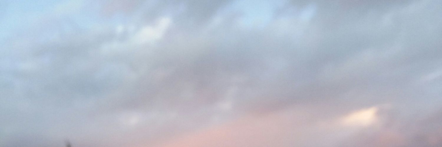 loubuggers's profile banner image