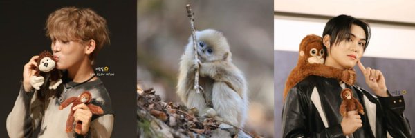 edwinpained Profile Banner