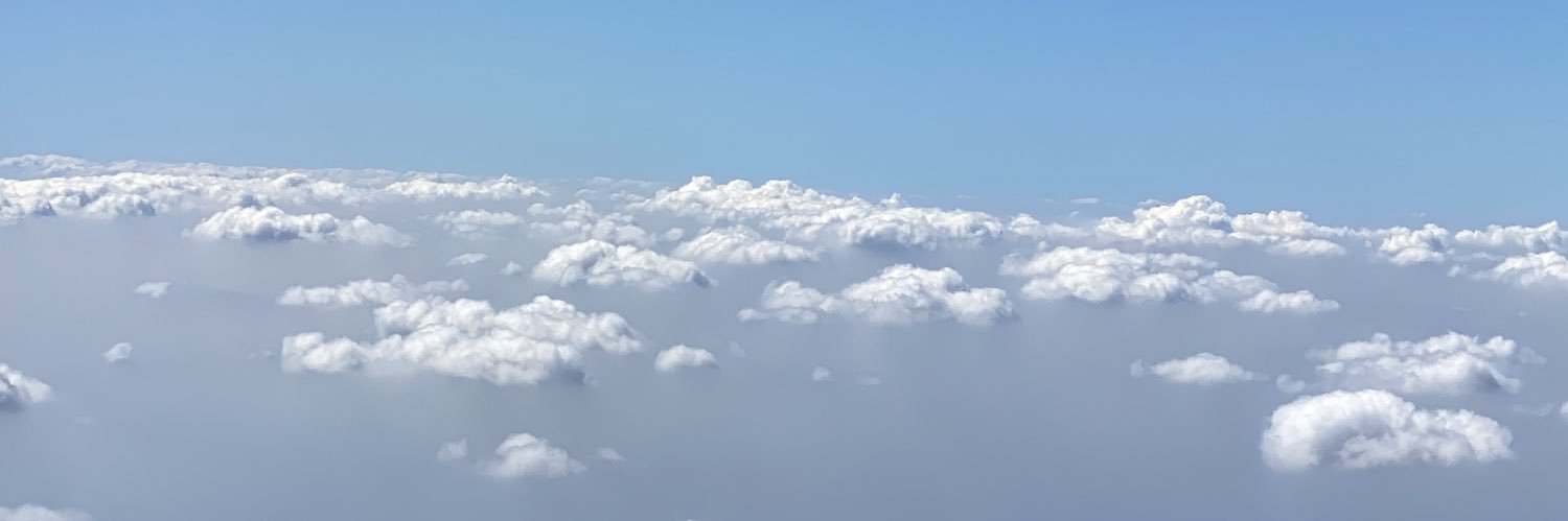 anyvesss's profile banner image