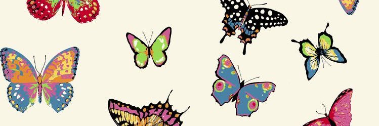 Cassidy banner