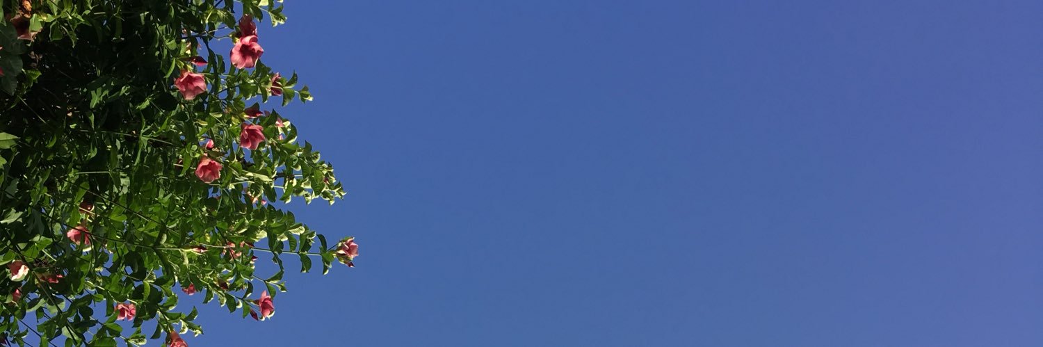 valeolazo's profile banner image